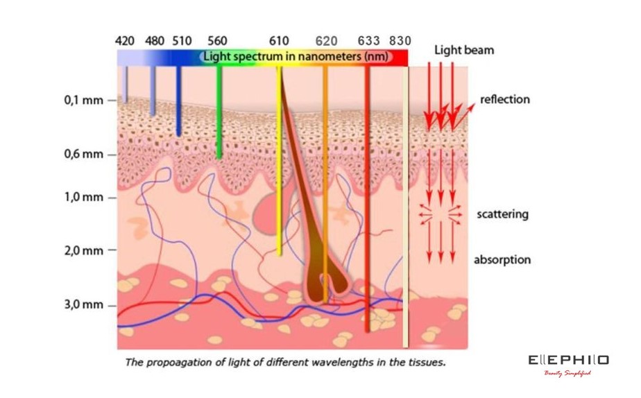 LED Wavelength penetration into skin